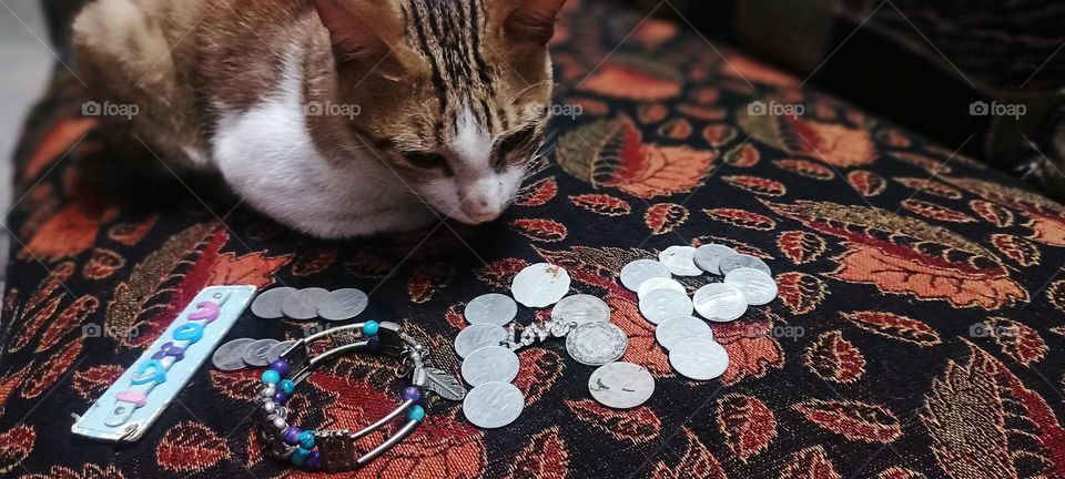 start today not tomorrow, Do what your soul makes you happy