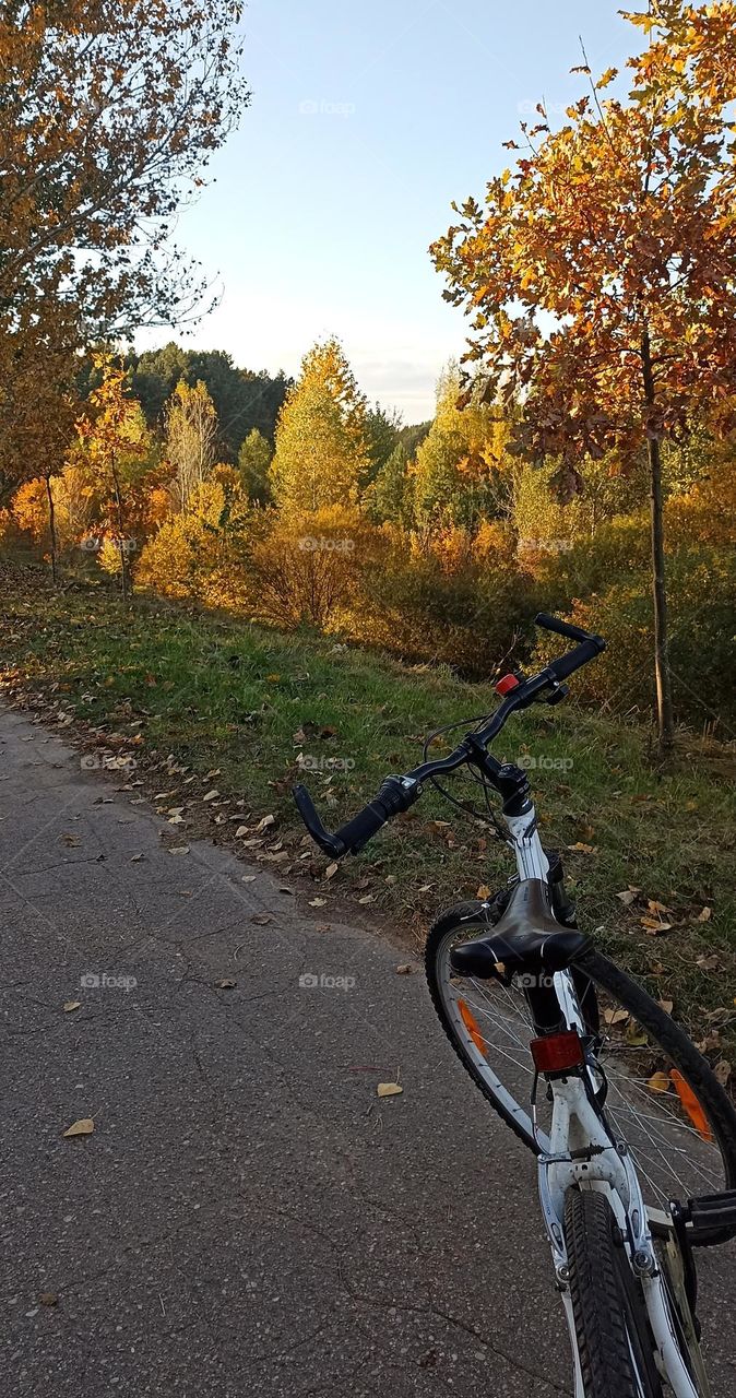 bike on a street road in the park beautiful autumn nature landscape