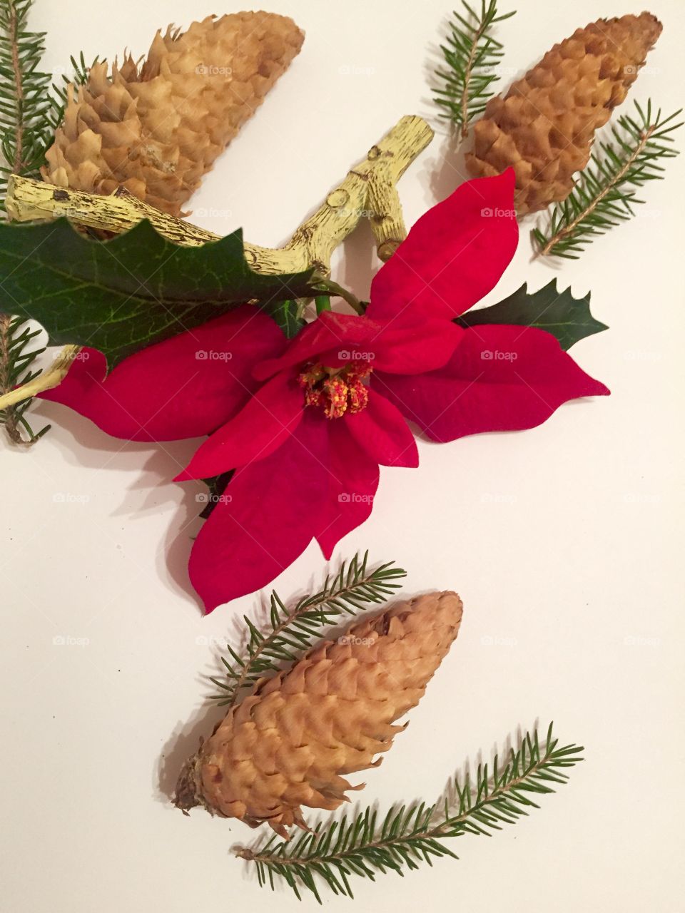 Christmas flower with pine cones