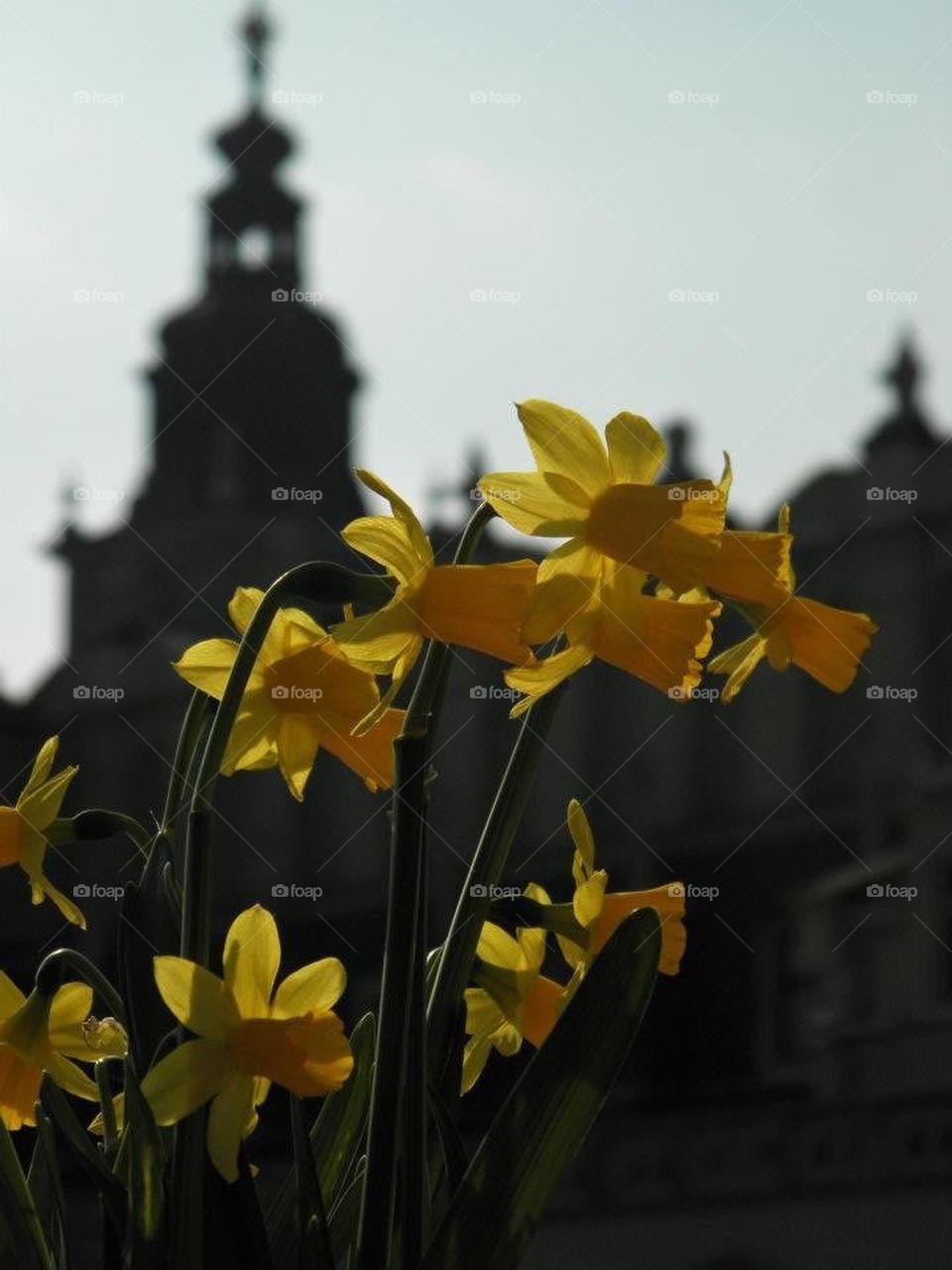 12 o'clock in Kraków