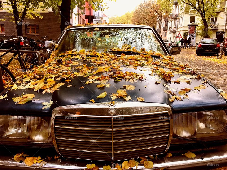Vintage Mercedes in the Fall
