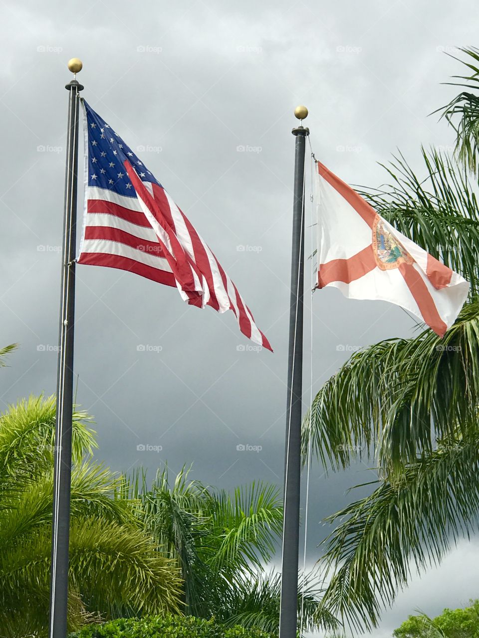 American and Florida state flags 