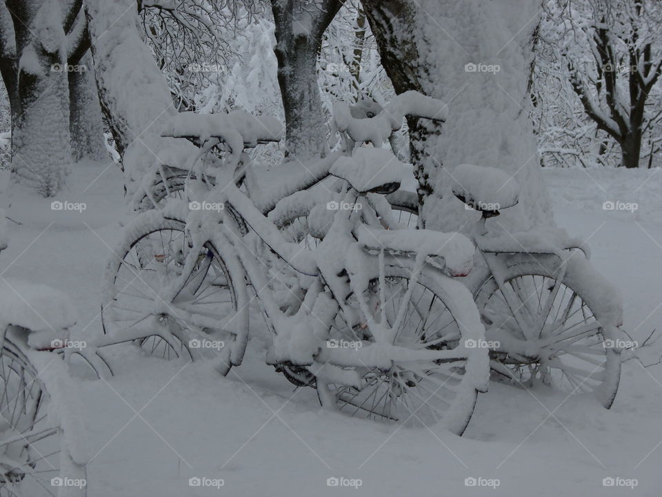 Bicycles in winter. The picture tell us more than thousand words ...
