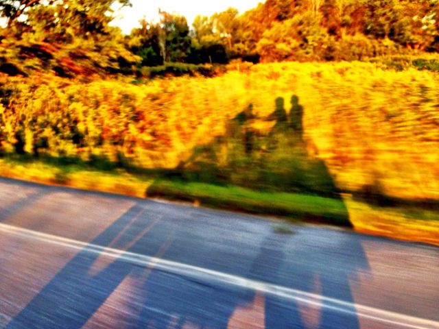 Cruising 