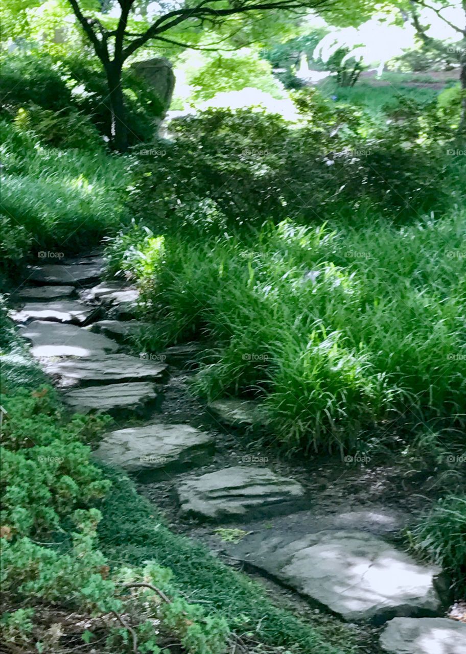 Garden Pathway