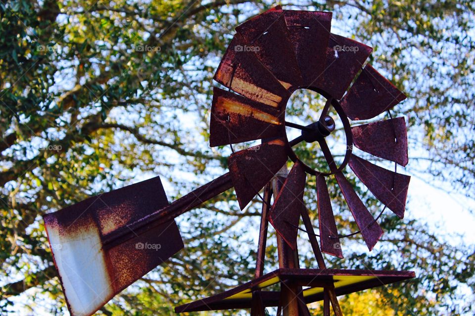 Rustic windmill in a wildflower garden.