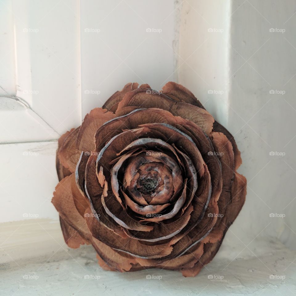 Flower-shaped pinecone