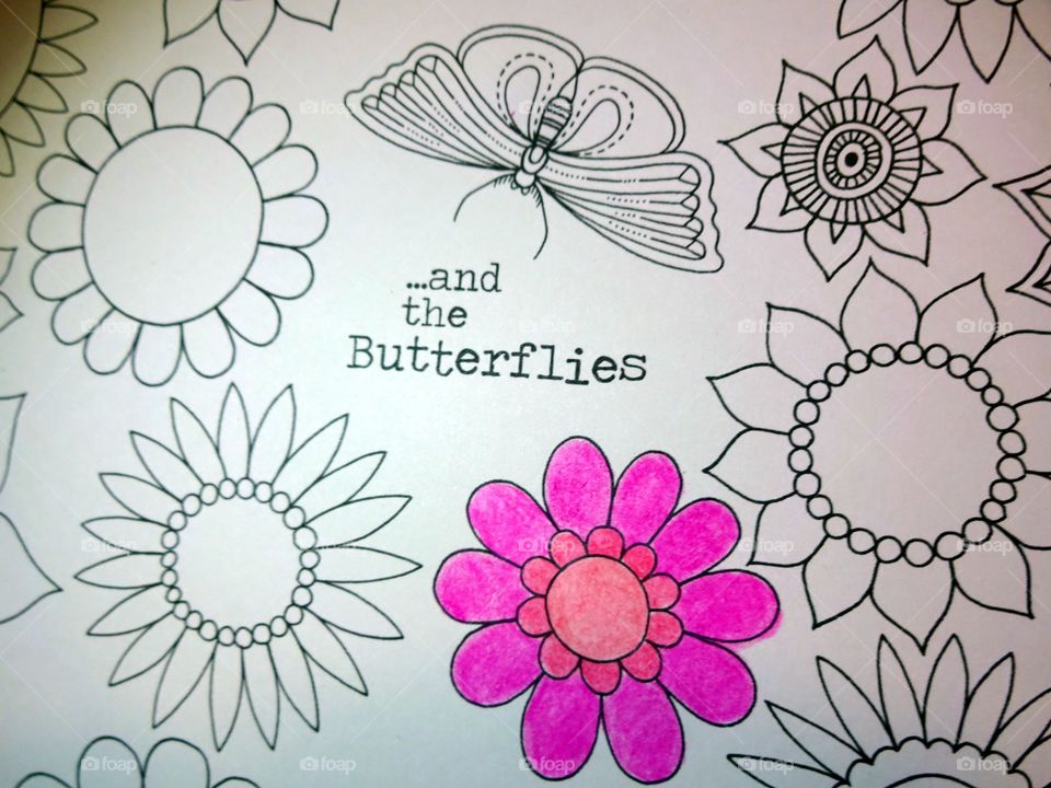 coloring book Johanna Basford