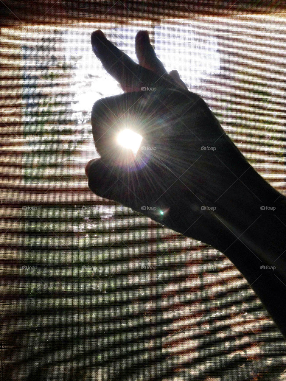 Hand in silhouette against sun through window