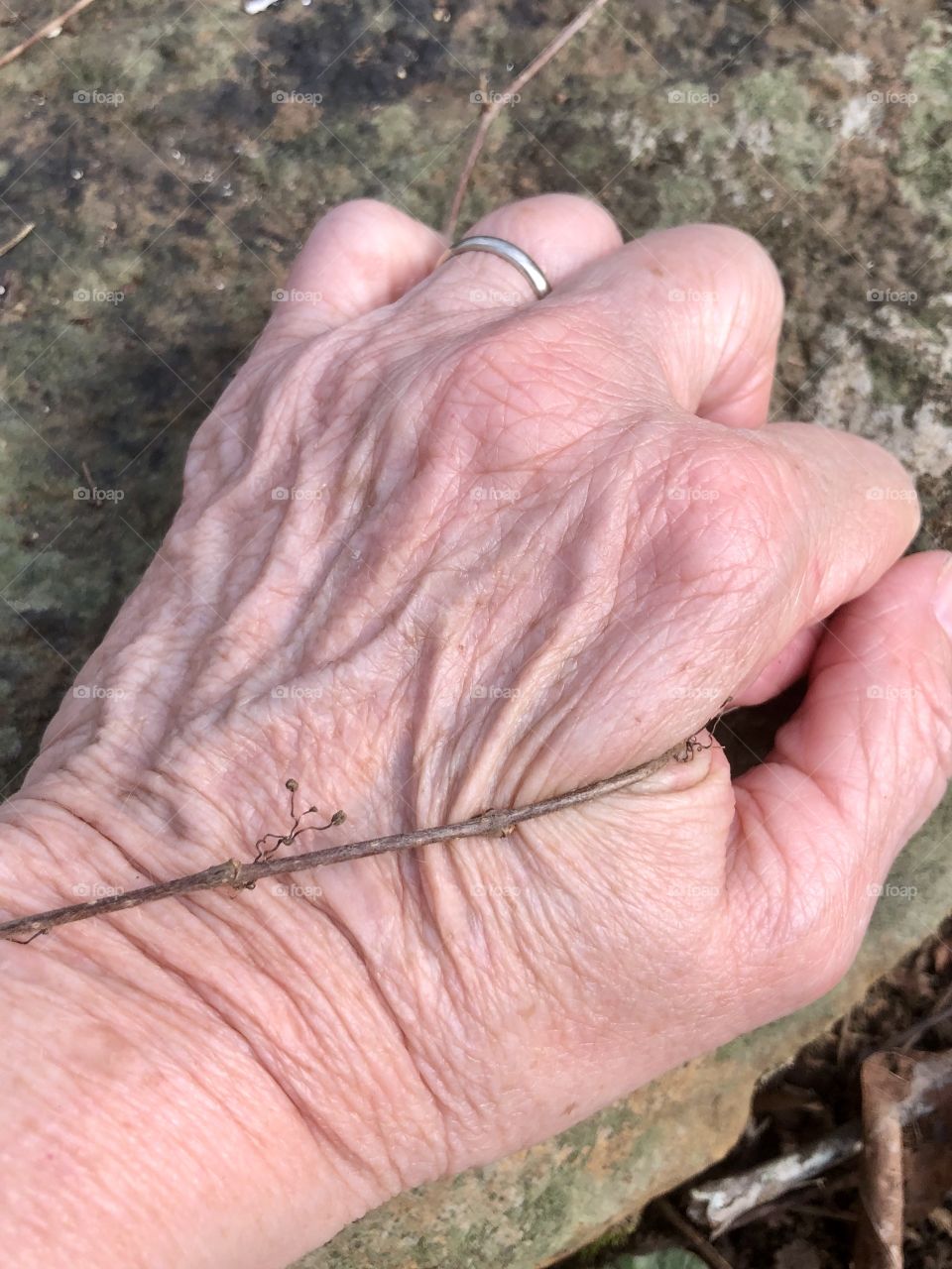 Grounding myself in the natural world 