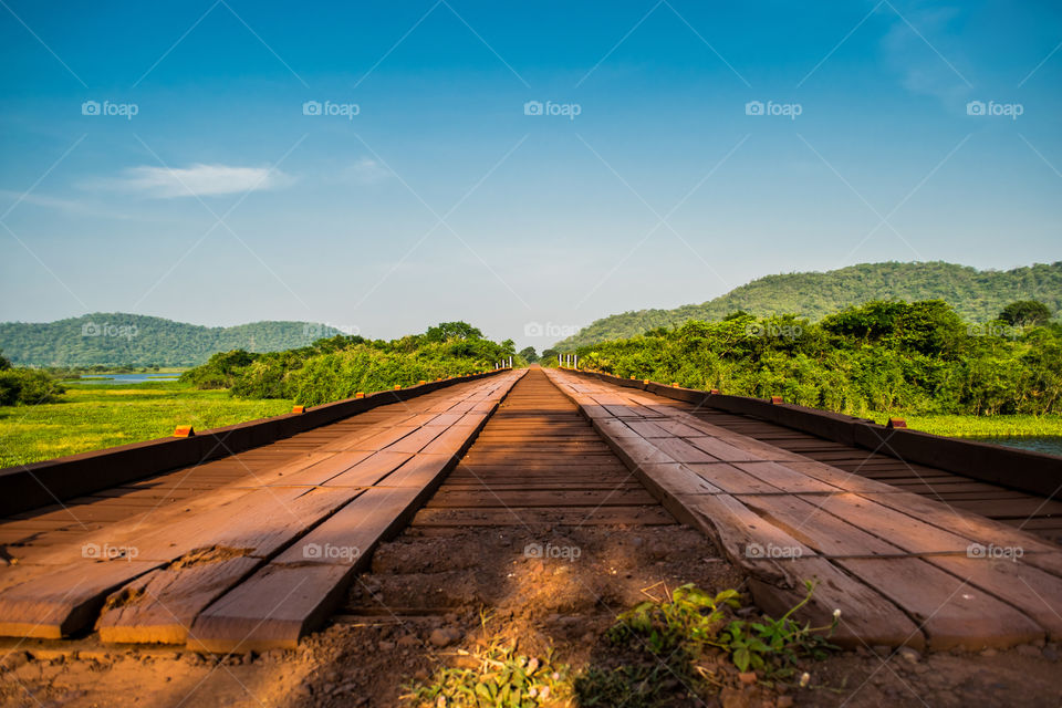 Empty road between grassy land