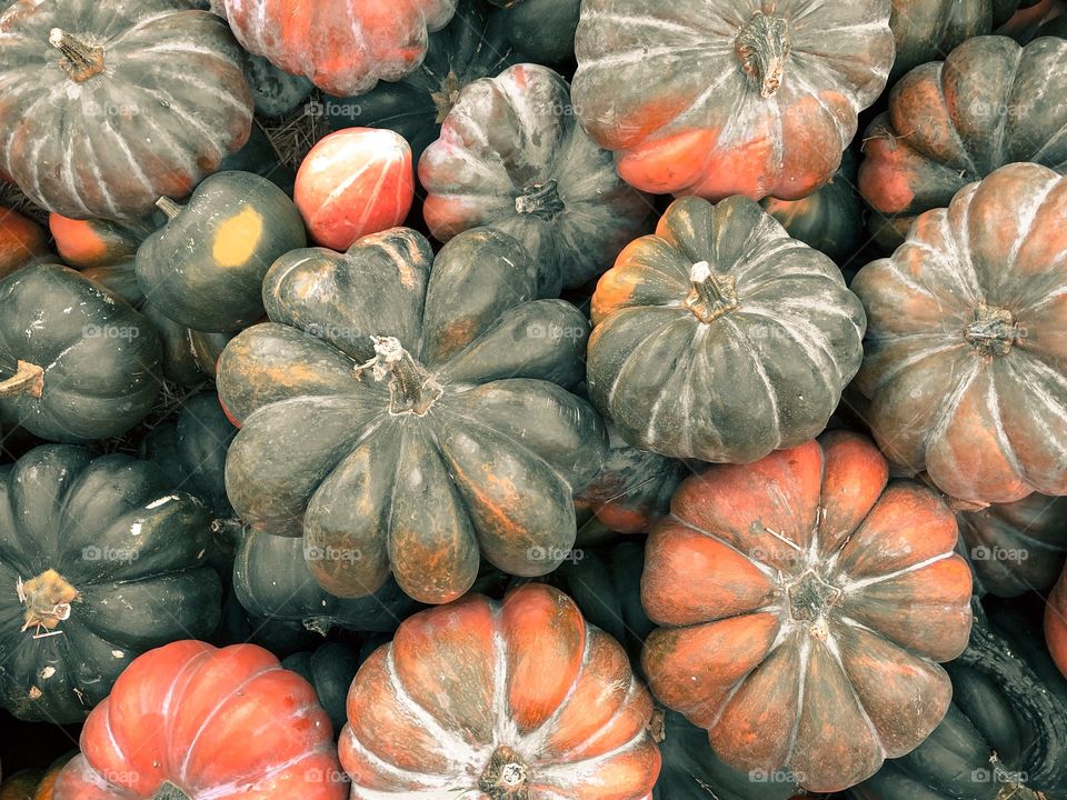 Pumpkins