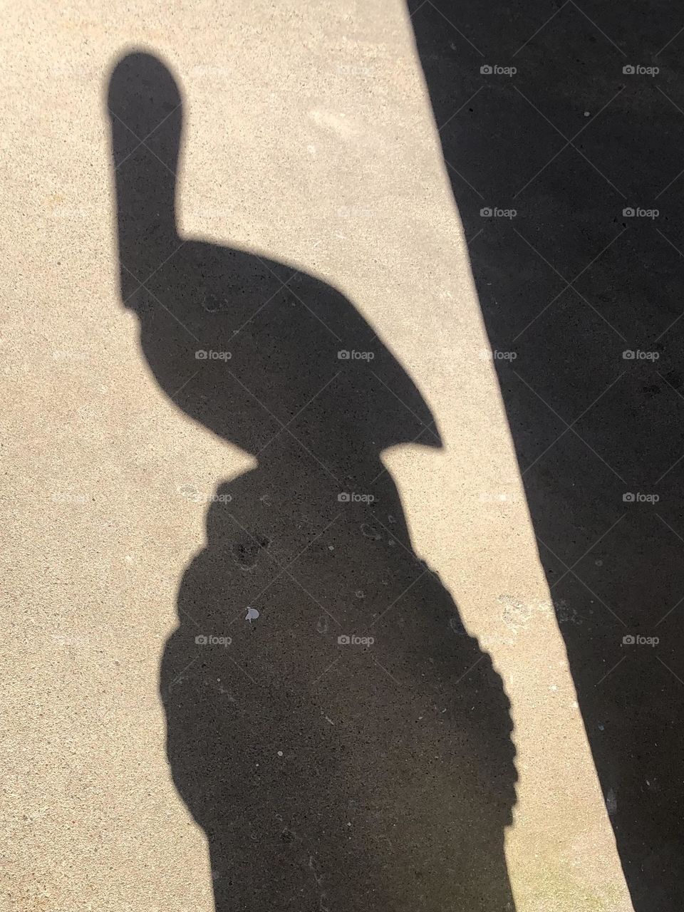 Shadow of a pelican perched on its stoop at the bay house in Texas- don’t let it fool ya- it’s a statue but made for a great pic!