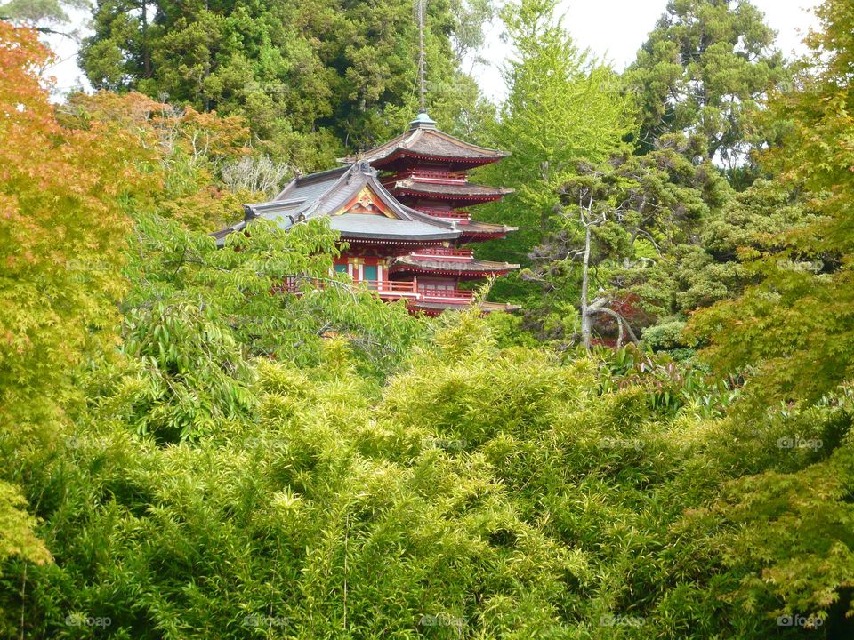 Beautiful pagoda