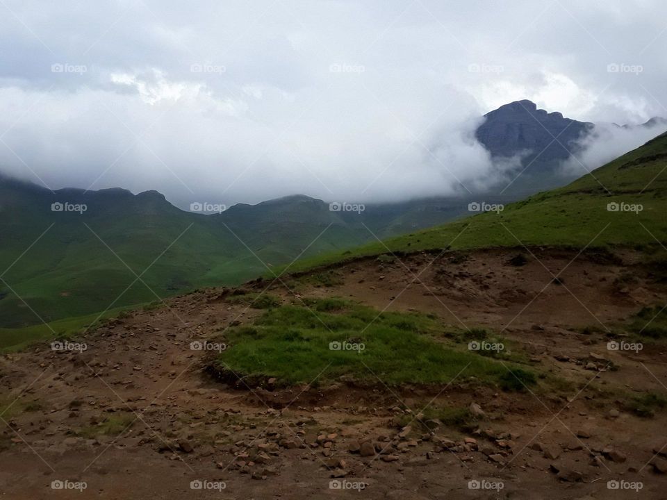 A landscape covered with evening mist.