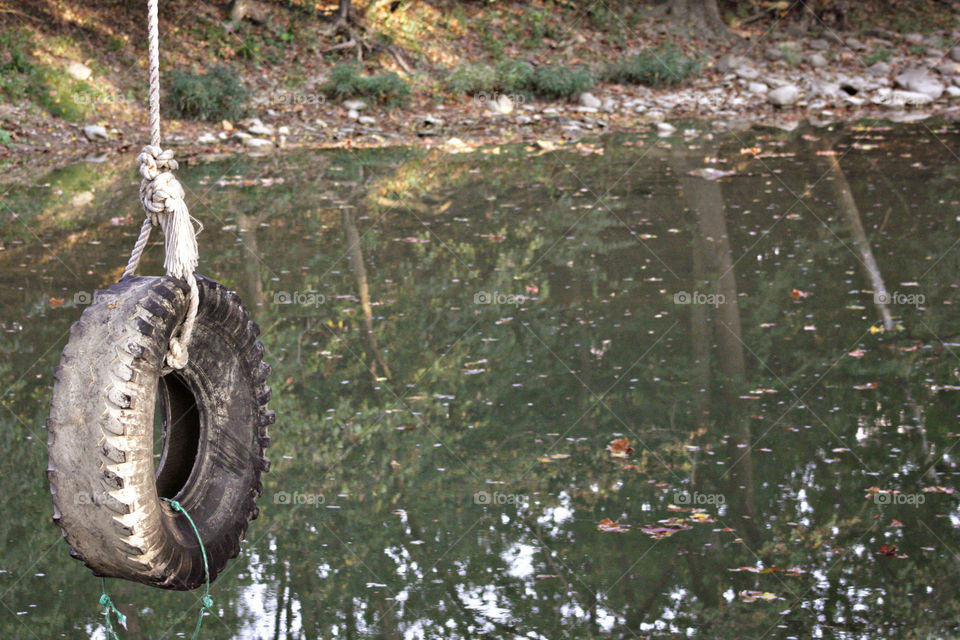 Tire swing reflecting in creek water