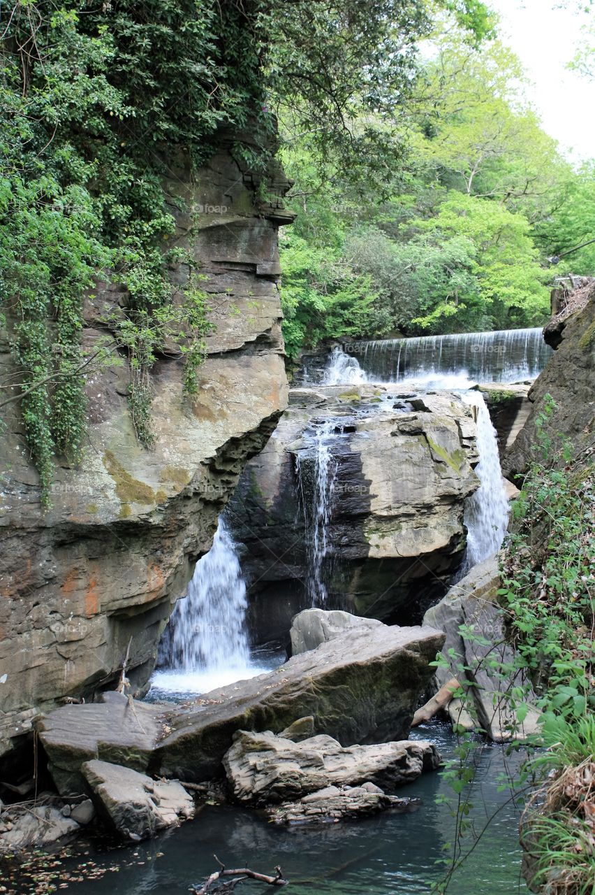 Waterfall -  Whales