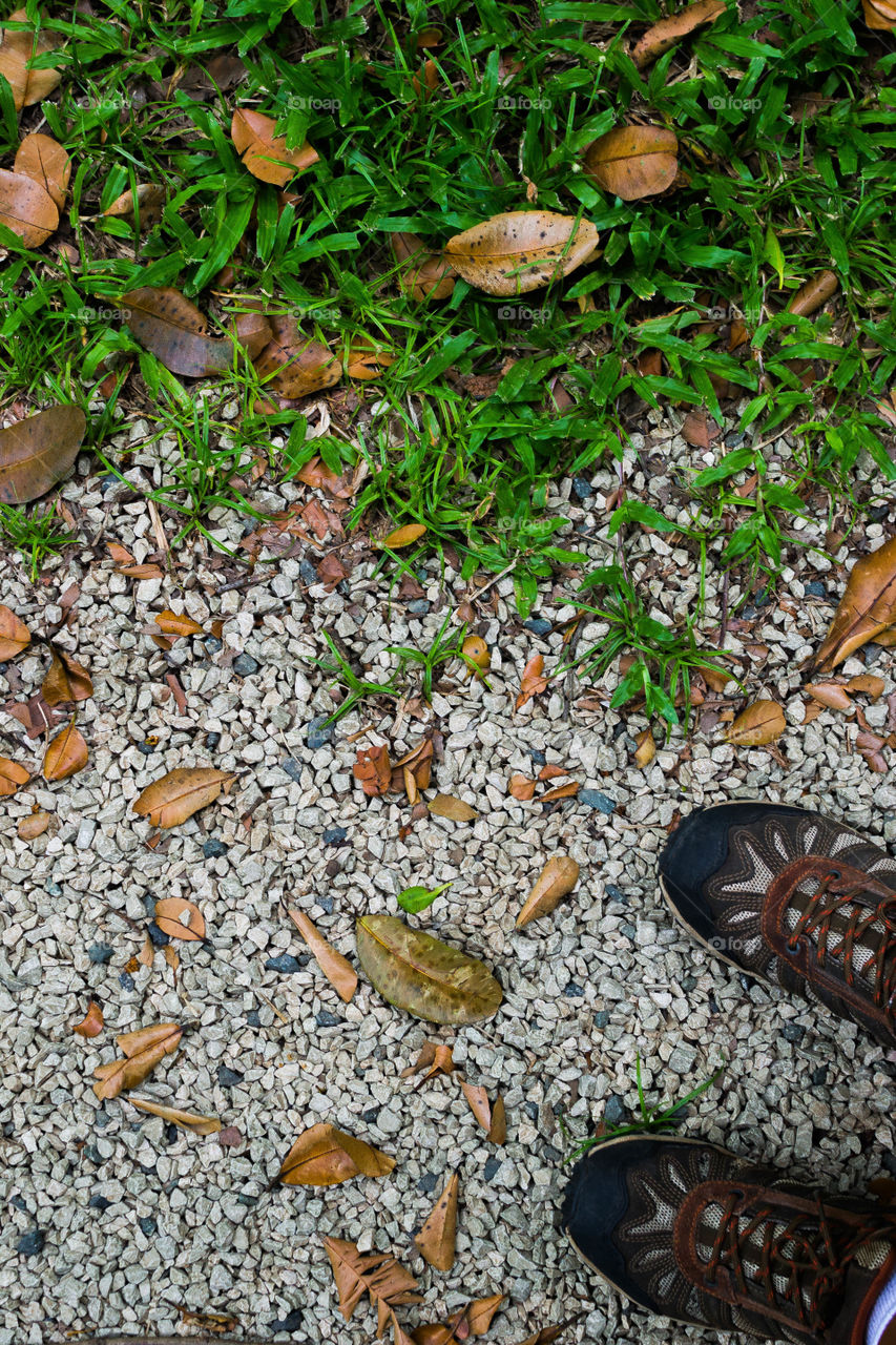 Walking around the Botanical Garden