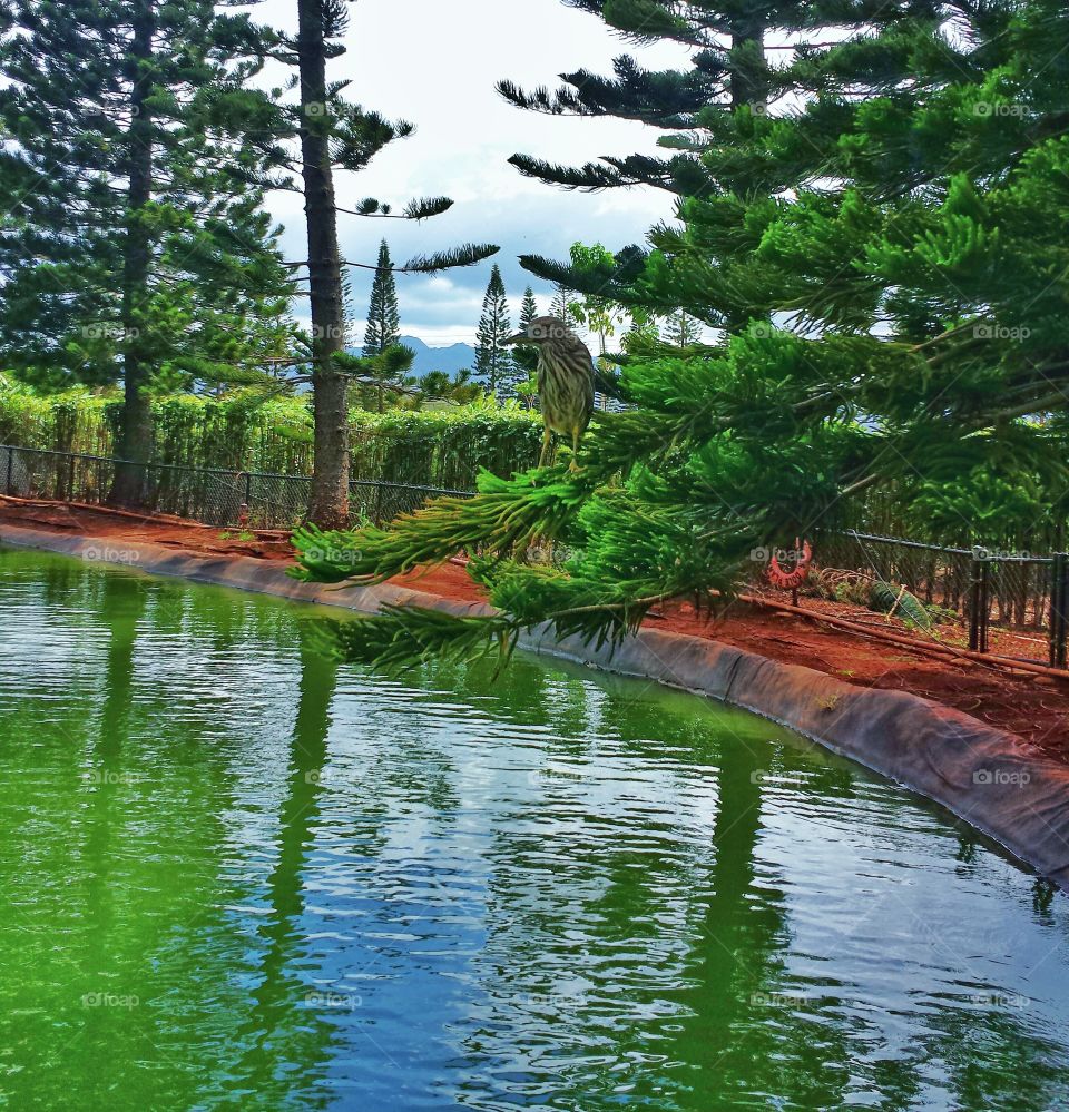 Bird perching on branch of tree