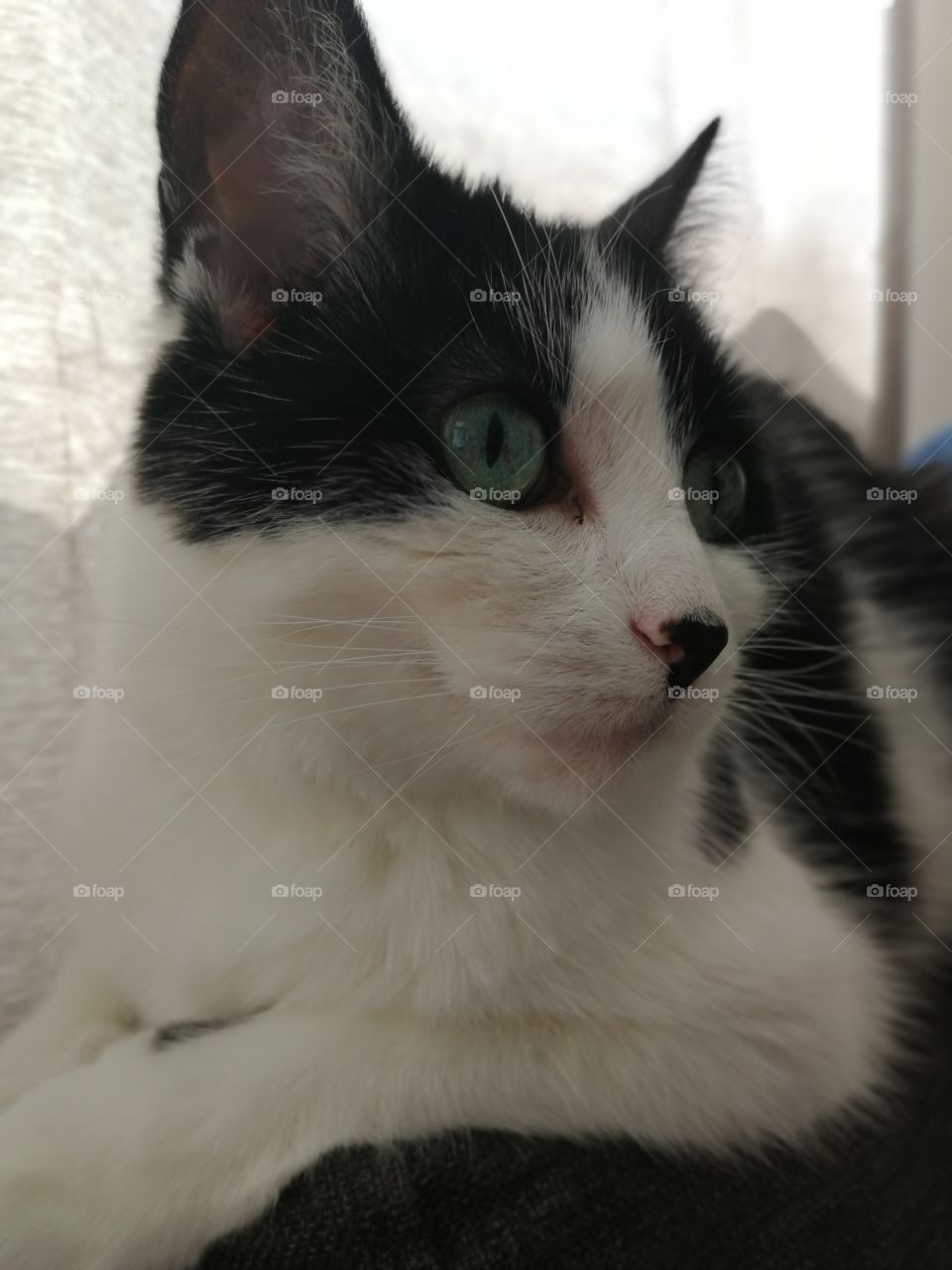 Why do I even bother with my brothers