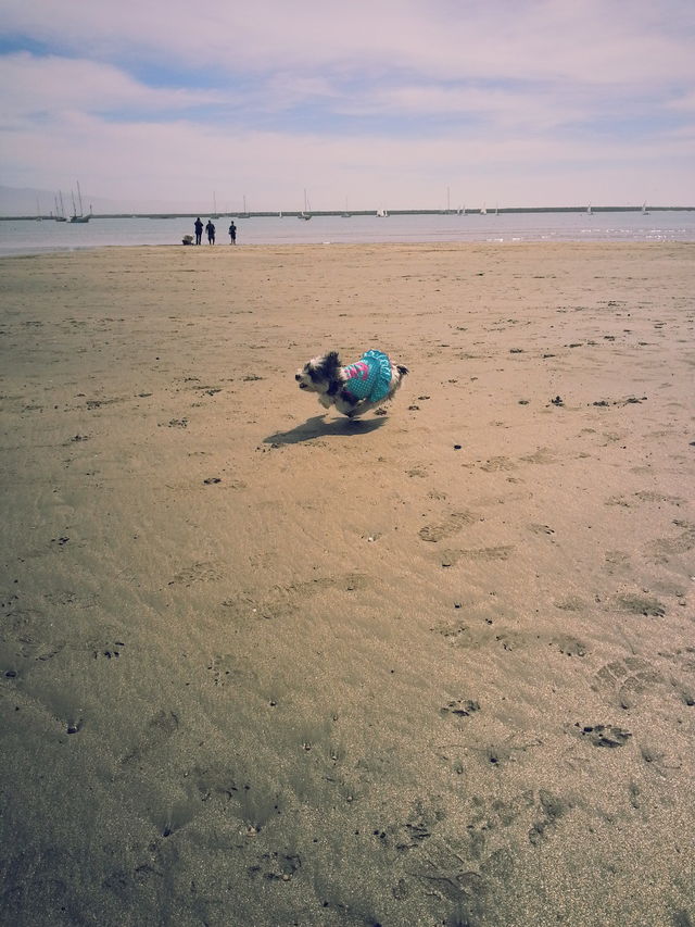 shortyyy