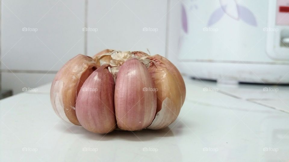 GARLIC