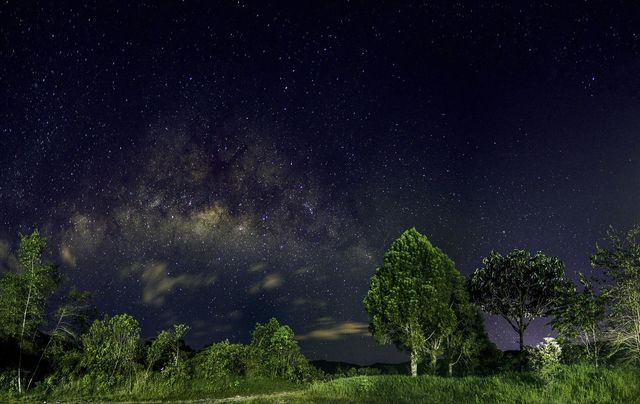 Nigh colors 