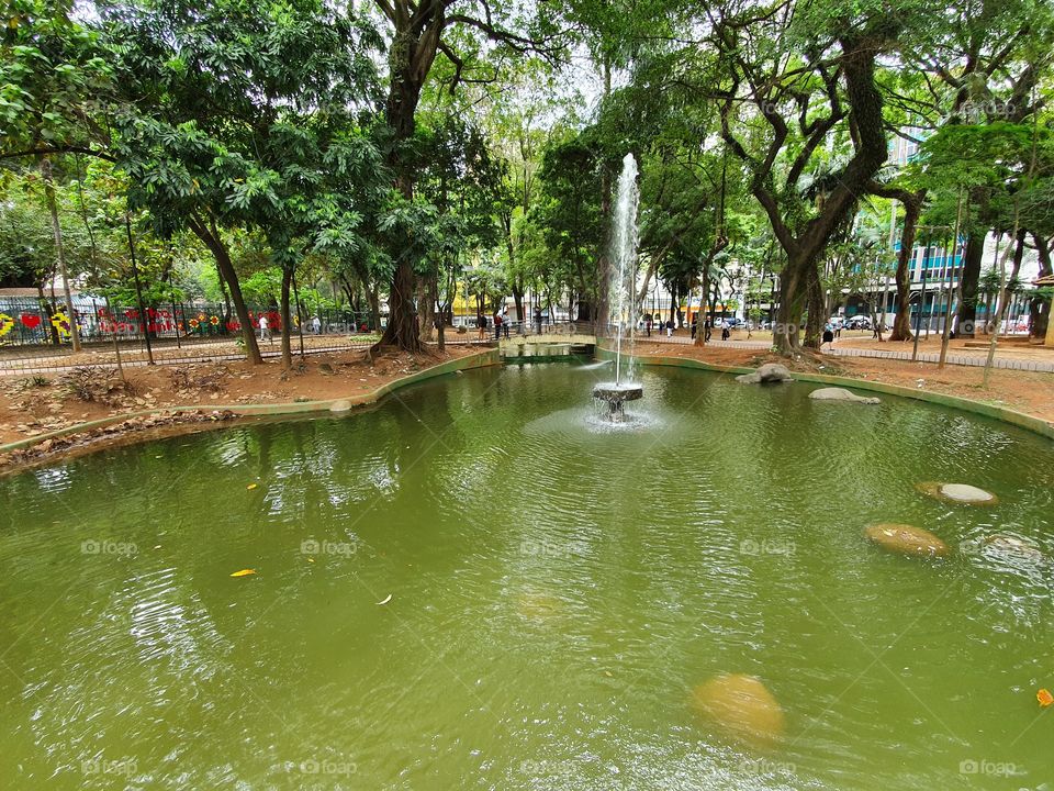 Parque
