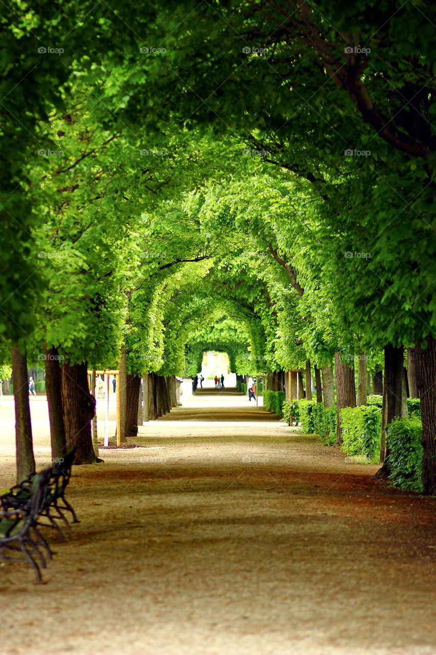 View of arched walkway at park