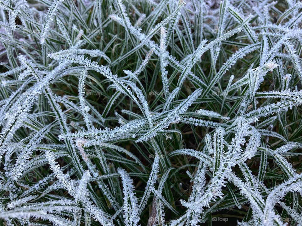 Jack Frost has been out and about this morning ❄️