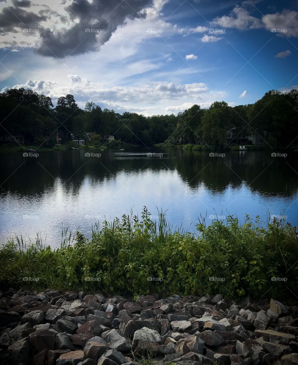 Trees reflection in the lake