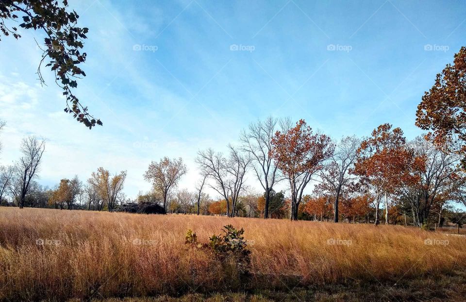 Awe inspirating autumn colors. Beautiful day at the lake "Color Me Fall Morning".