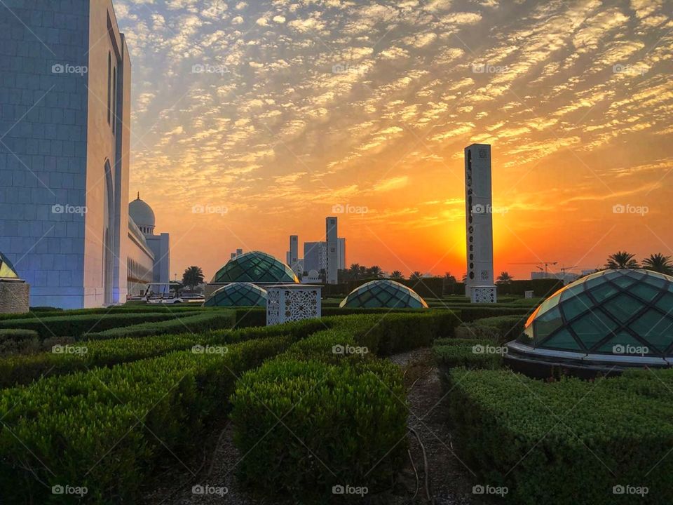 |Shaikh Zayed Masjid