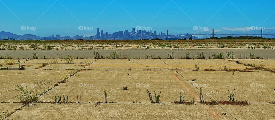 San Francisco Skyline. San Francisco As Seen From The East Bay
