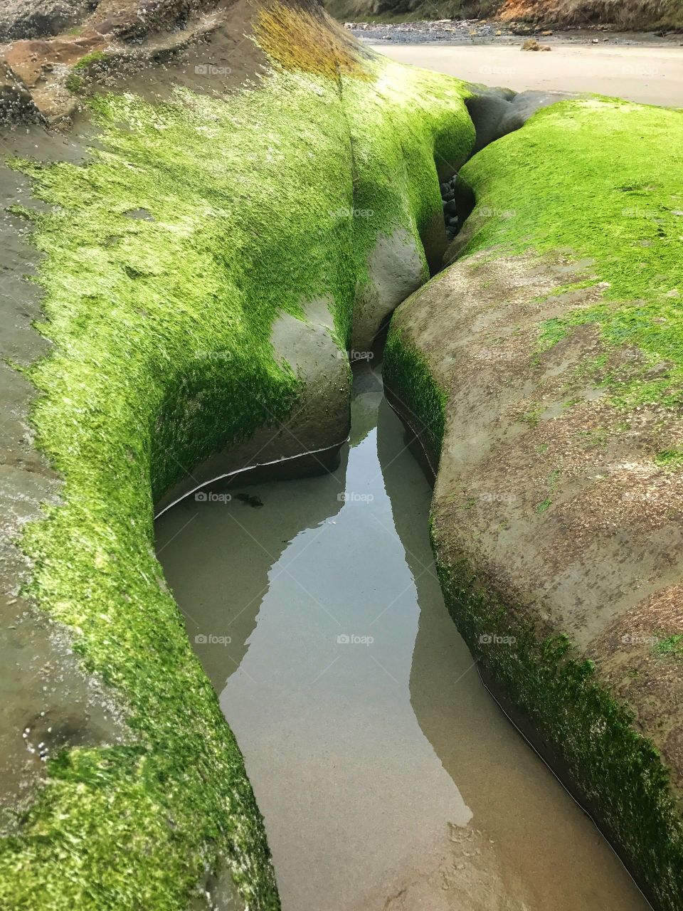 Green Beach Rock