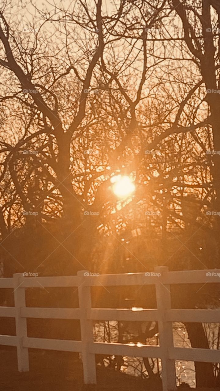 Took to the trees tonight sunset was bland not too much color. Even after twilight still bland. 
