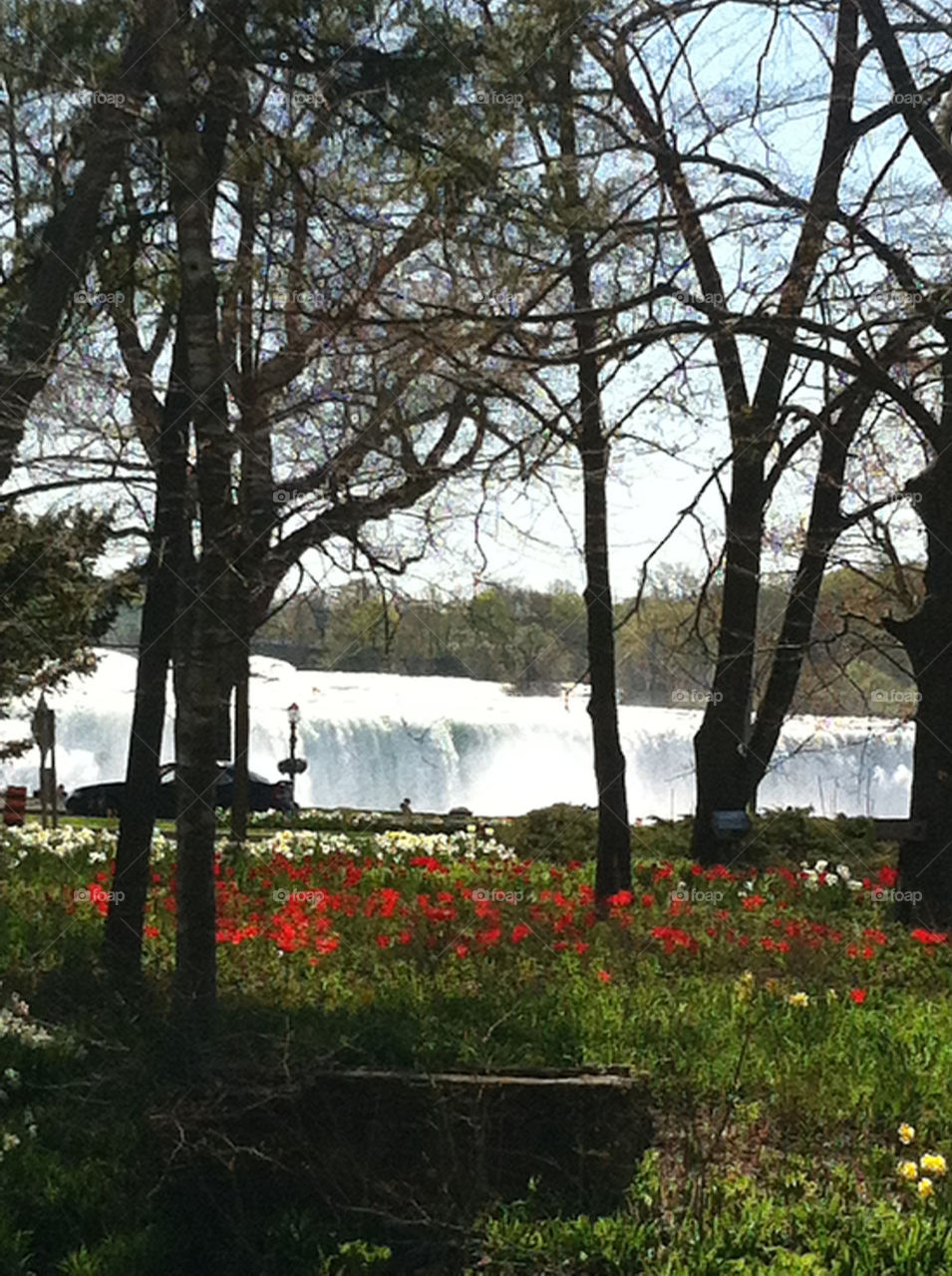 Niagara Falls