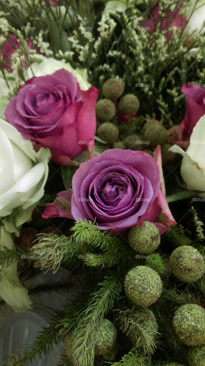 Bouquet of the purple roses