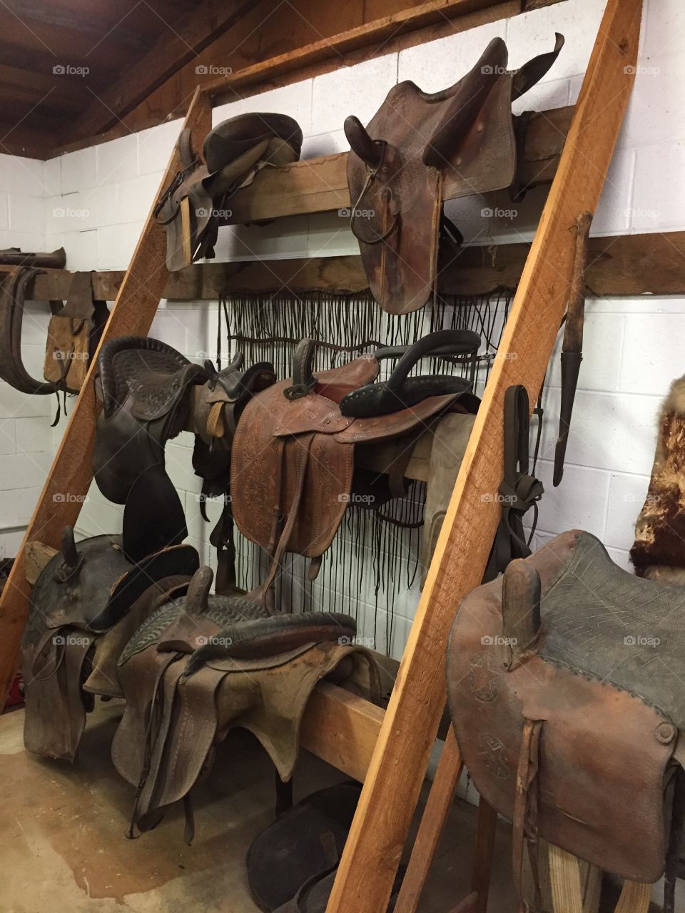 More early saddles