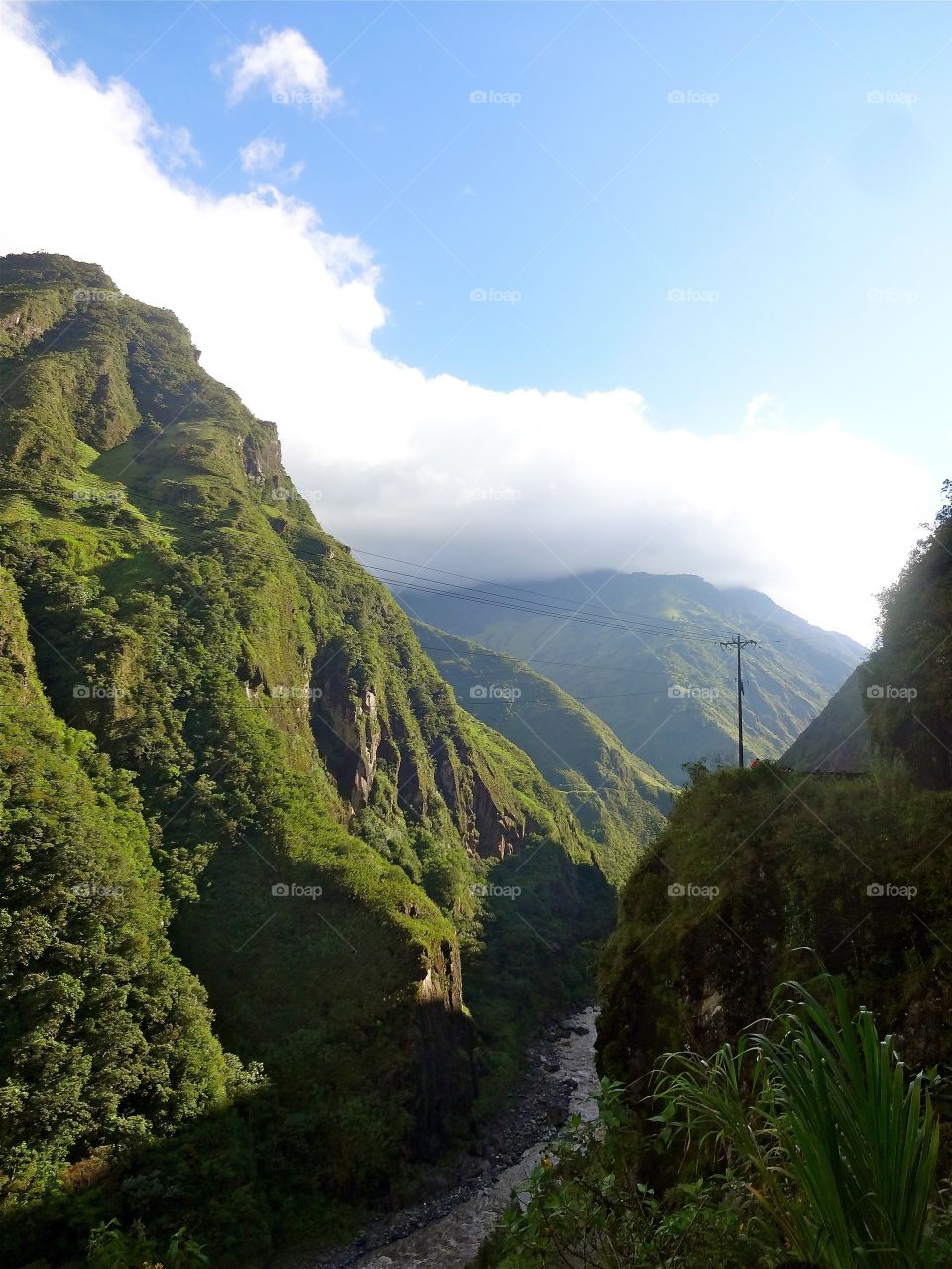 Hiking in the Amazon Basin 