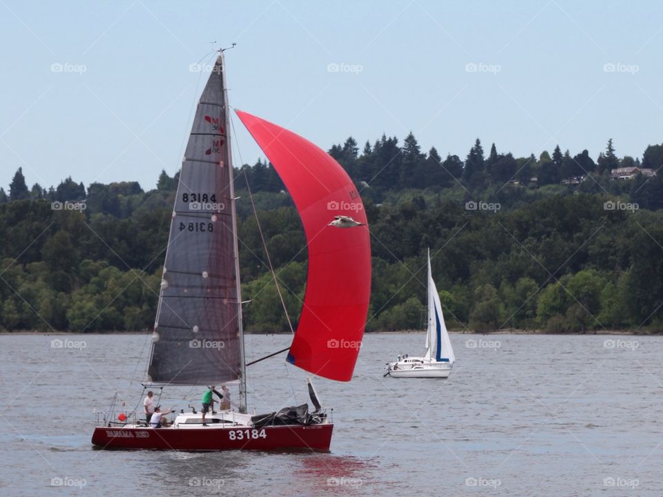 Columbia river sailing