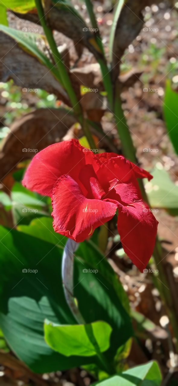 ângulo quase perfeito