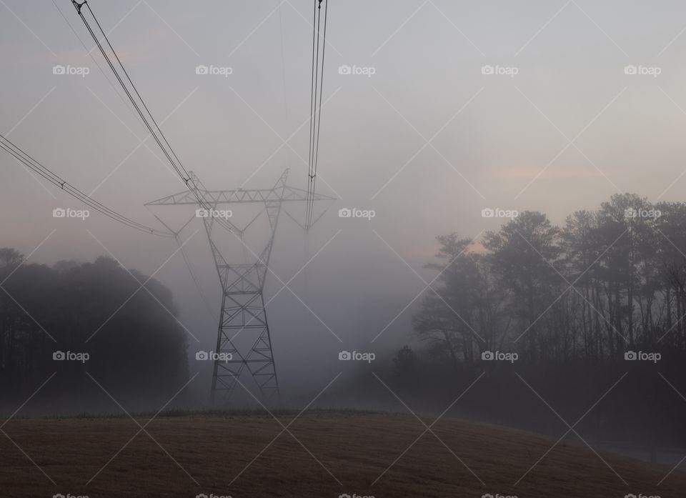 Power lines in the fog