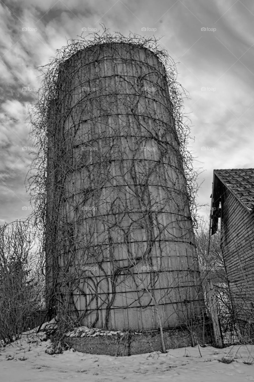 Old abandoned barn and grain silo .