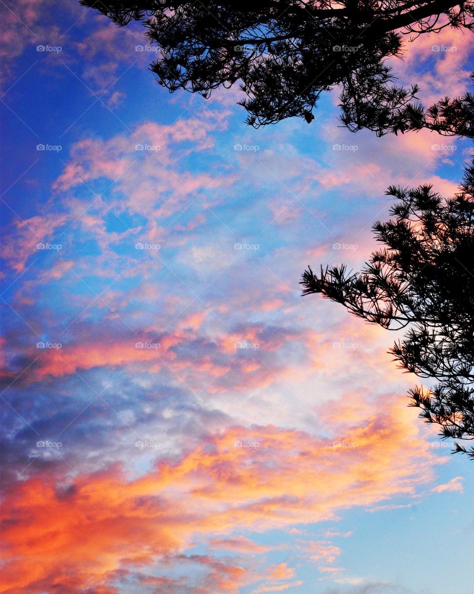 Beautiful views in Indiana 