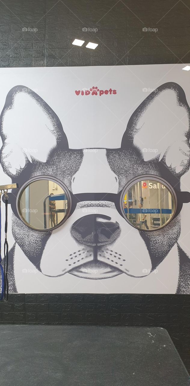 beautiful painted mural of a dog with mirror glasses to see itself reflected