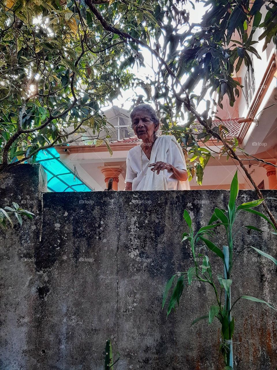 The Grandma Next Door