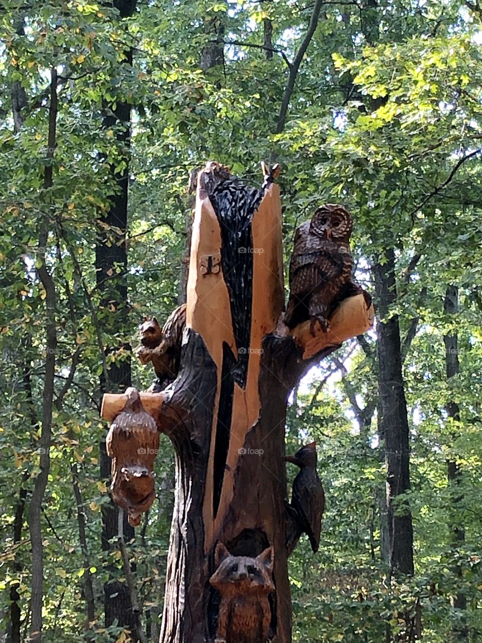 Artisan Carved Tree Trunk Top - Annandale Community Park - Virginia
