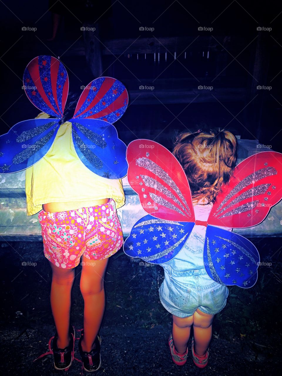 two perfect little American butterflies on the fourth of july