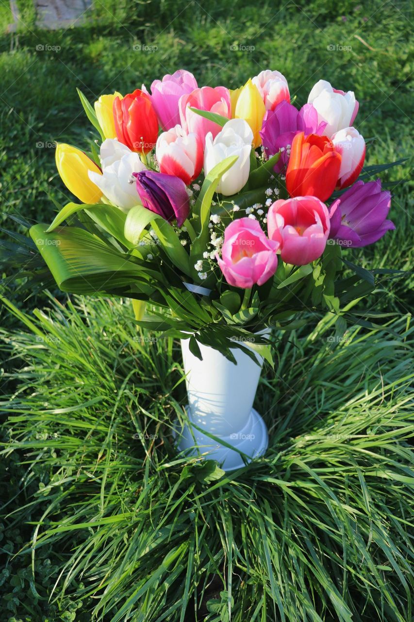 flowers in a vase